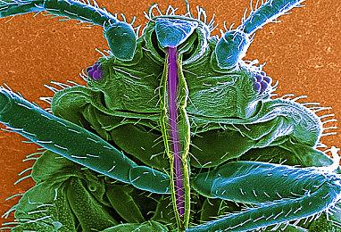 《炉石传说》新拓展包“暴风城下的集结”前瞻